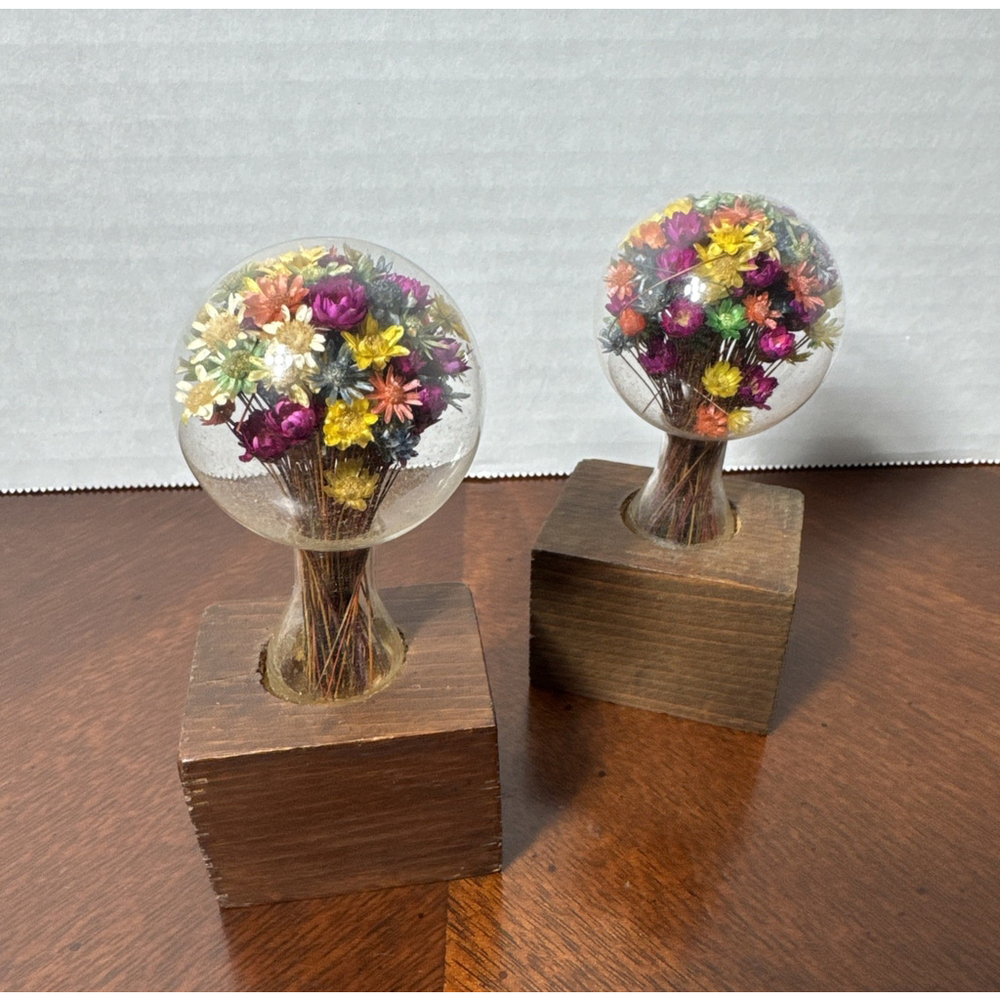 VTG MCM Set Of Two 1960's Paperweight Acrylic Dried Flowers On Wooden Base 4"